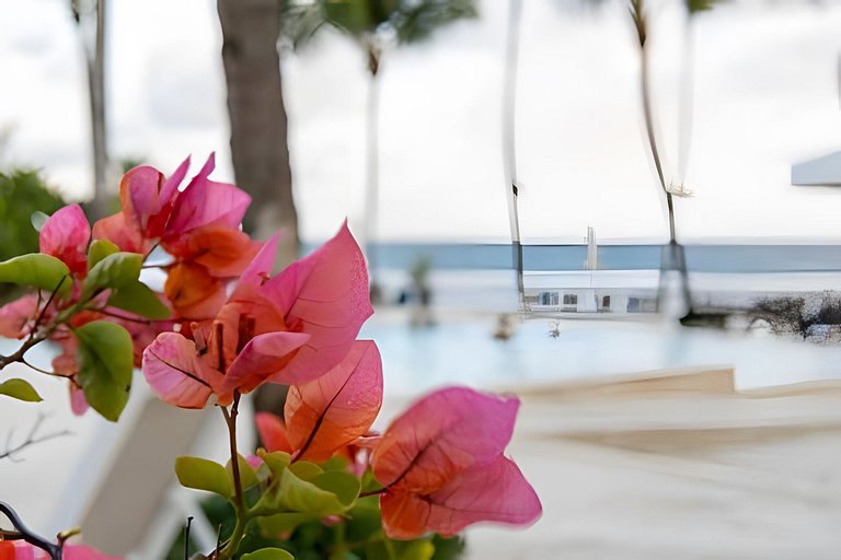 Caribbean Life Paradise, Beachfront Apartment