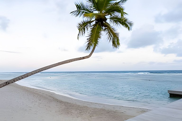 Caribbean Life Paradise, Beachfront Apartment