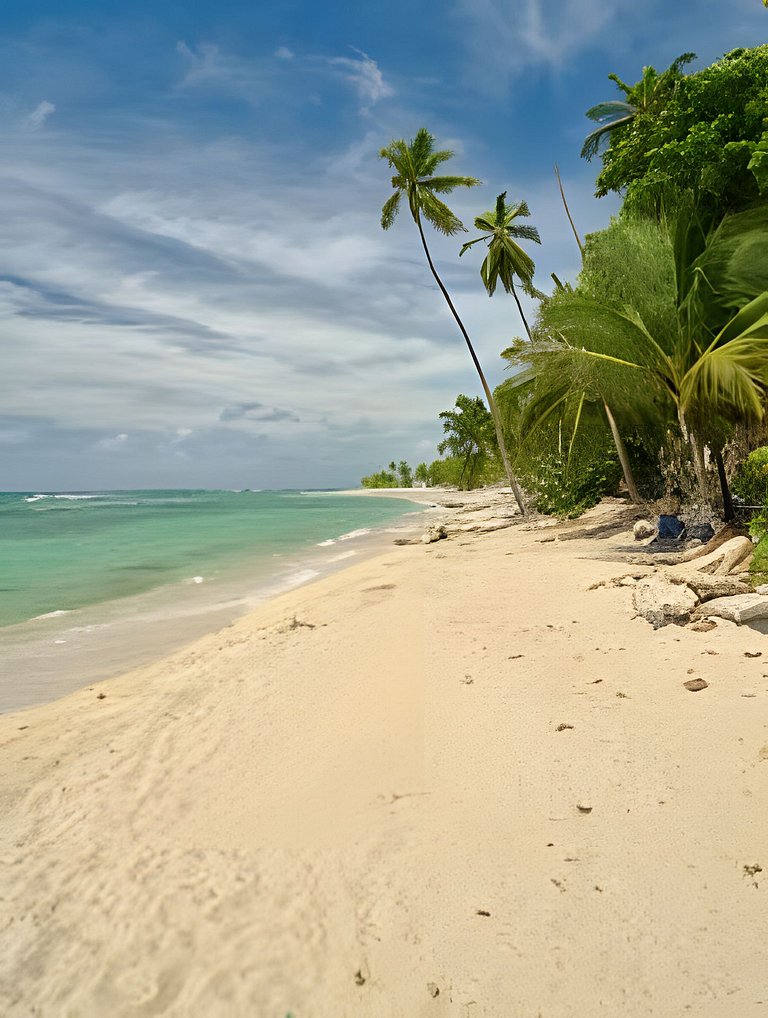 Caribbean Nature Sourrounded Refuge Apartment