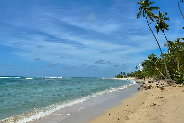 Caribbean Nature Sourrounded Refuge Apartment