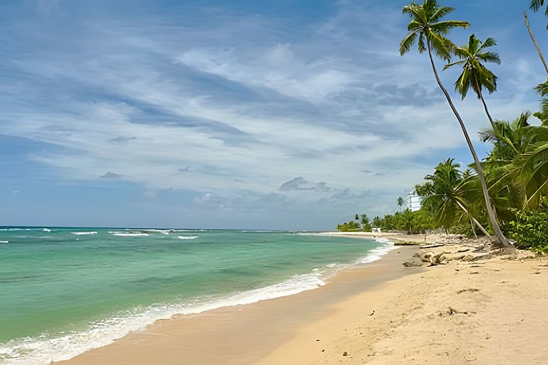 Caribbean Nature Sourrounded Refuge Apartment