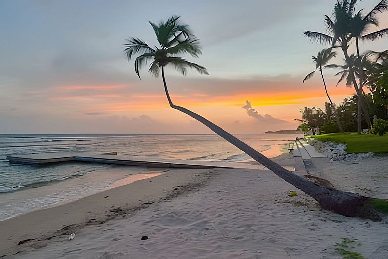 Caribbean Bliss on the Beach