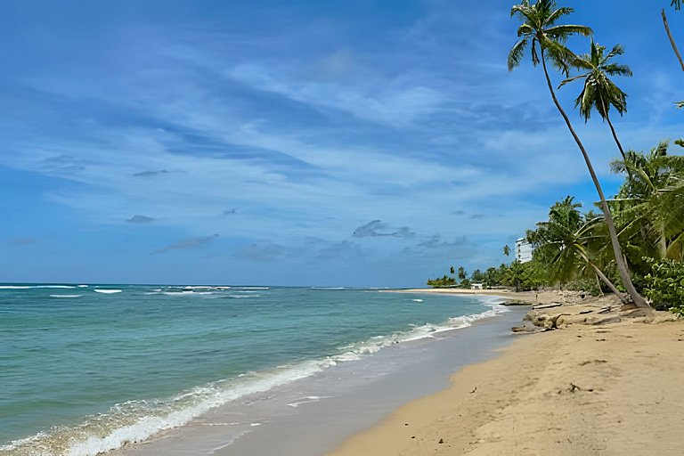 Come and Feel The Caribbean Breeze in 1-bdrm Apt.
