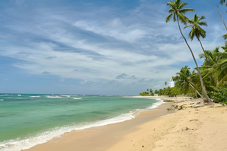 Come and Feel The Caribbean Breeze in 1-bdrm Apt.
