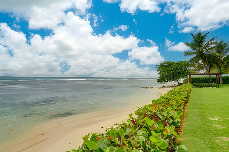 Caribbean Beachfront Living, Apartment