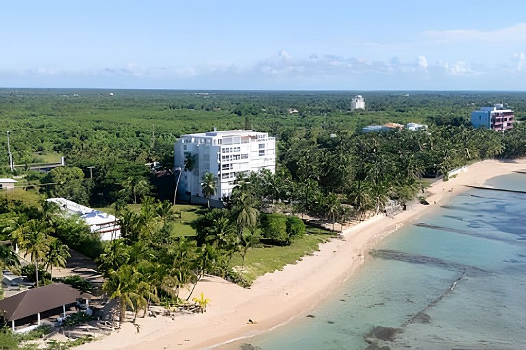 Caribbean Heavenly Oasis, Beachfront Apartment.