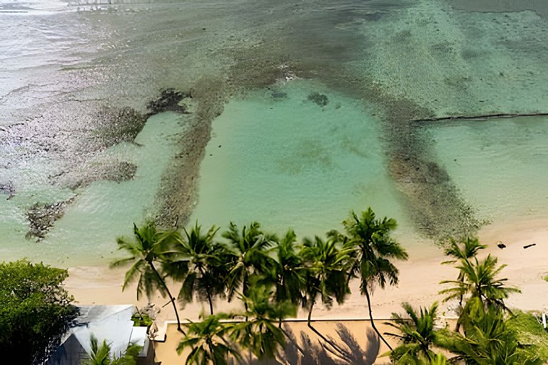 Caribbean Heavenly Oasis, Beachfront Apartment.