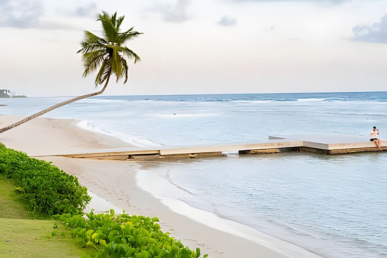 Caribbean Sunscape Beachfront Apartment