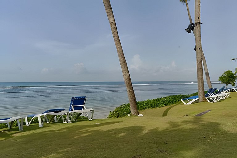 Caribbean Sunscape Beachfront Apartment